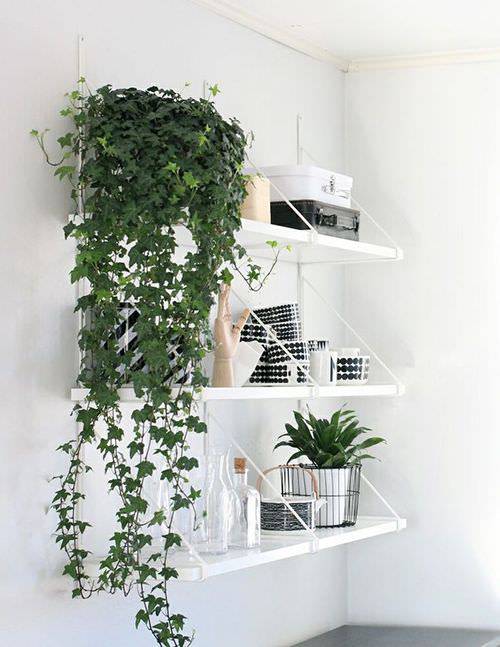 elegant shelves design