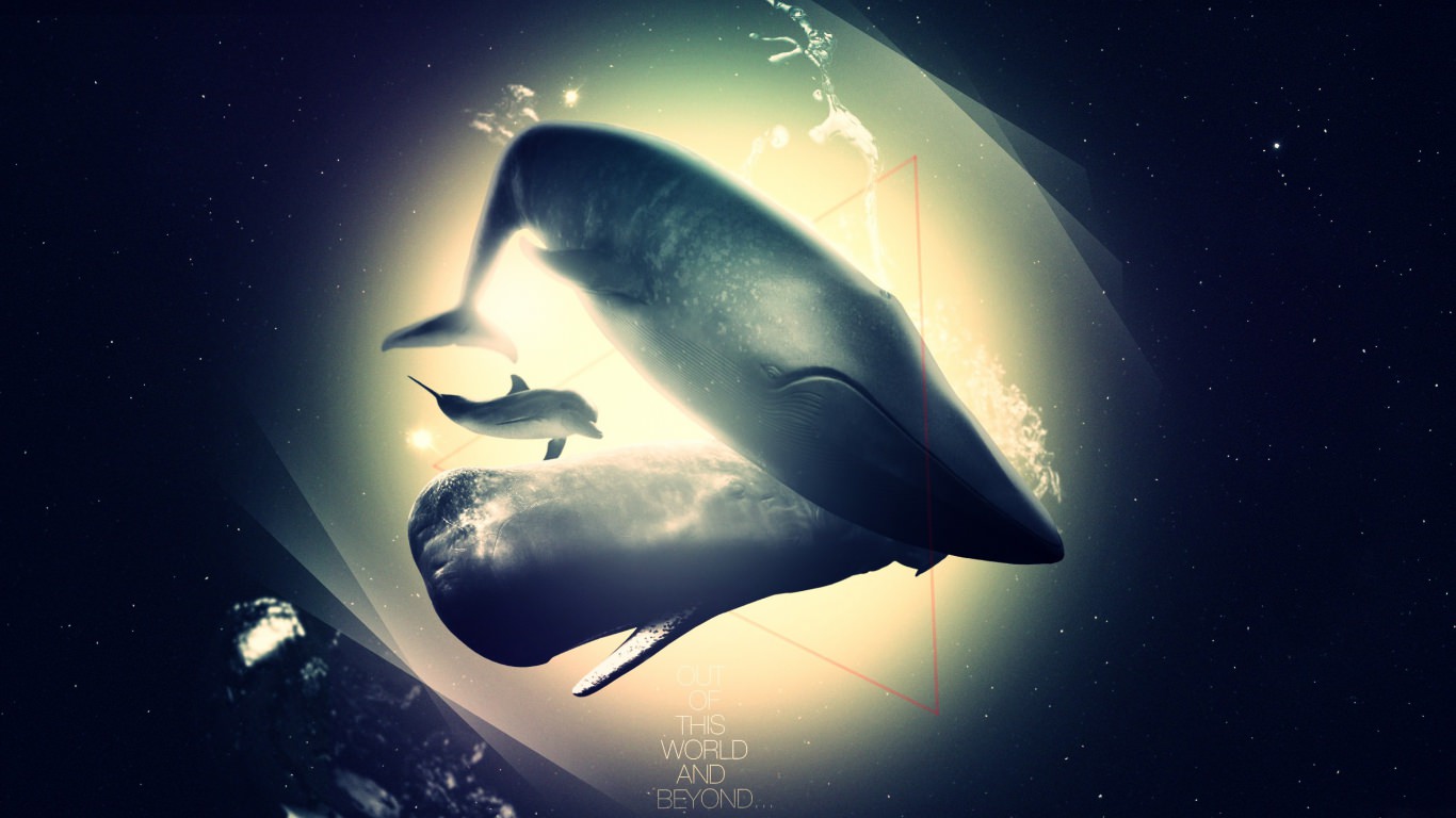 whale dolphin deep light shadow