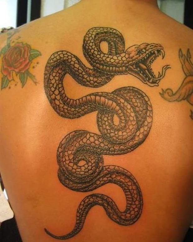cobra snake tattoo design