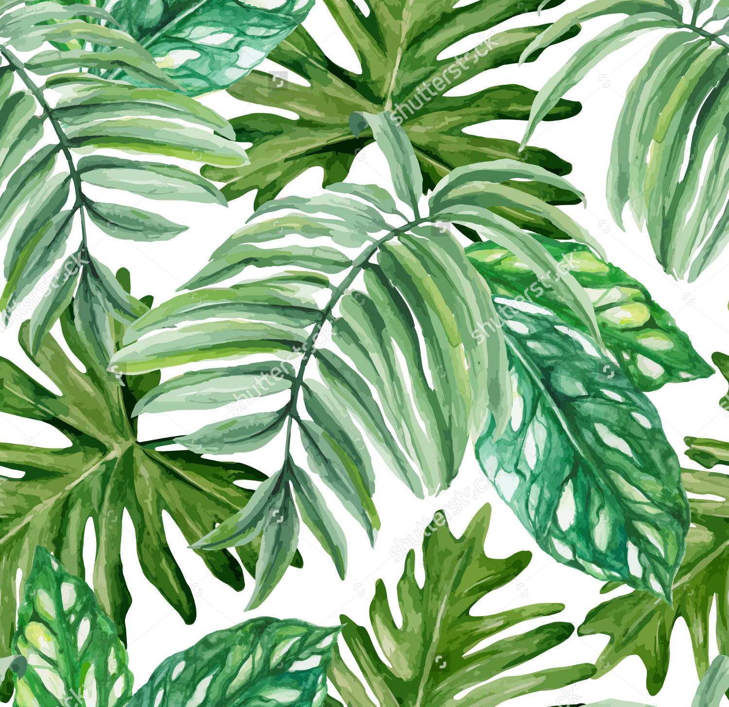 exotic leaves pattern