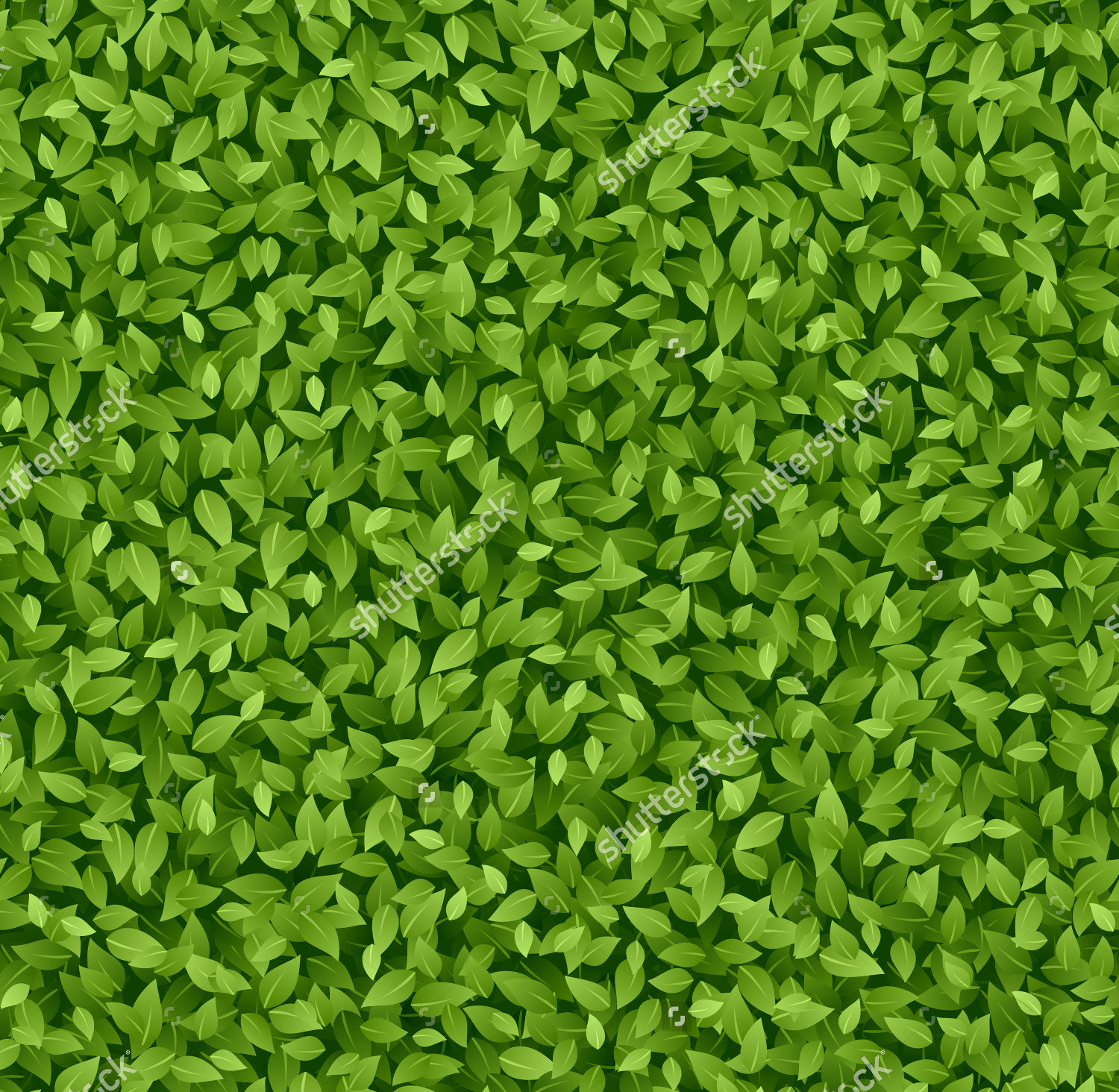 green leaves nice pattern