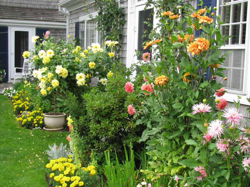 traditional cottage garden