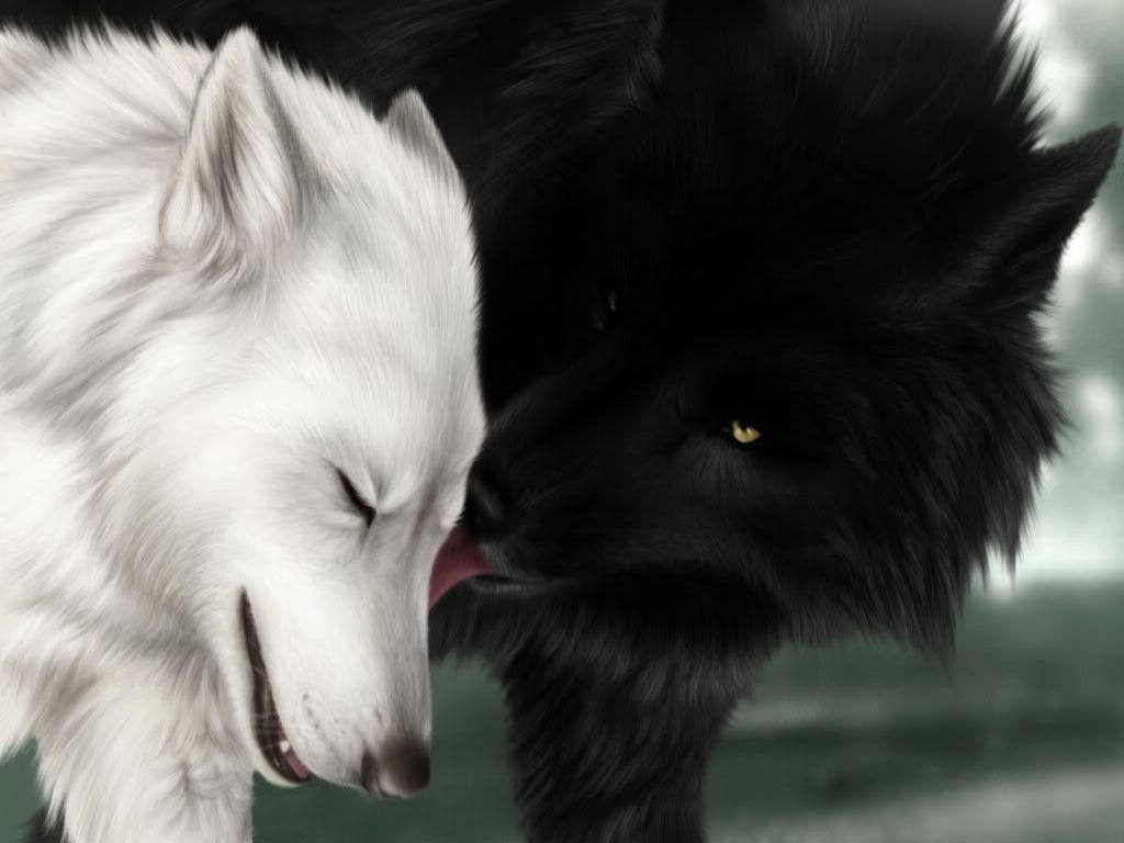 black and white wolf painting wallpaper