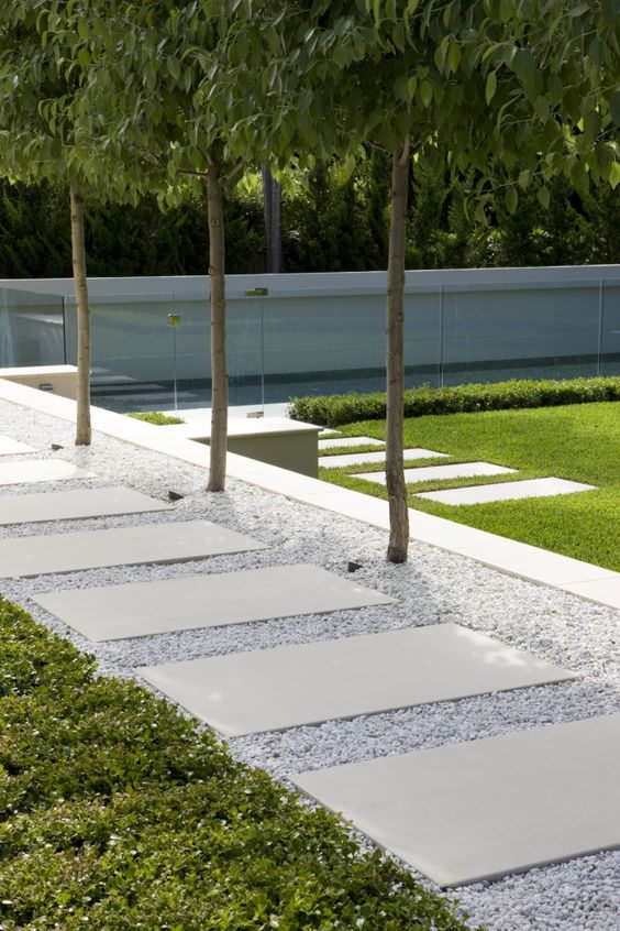 14pavers in pebbles pleached row of trees