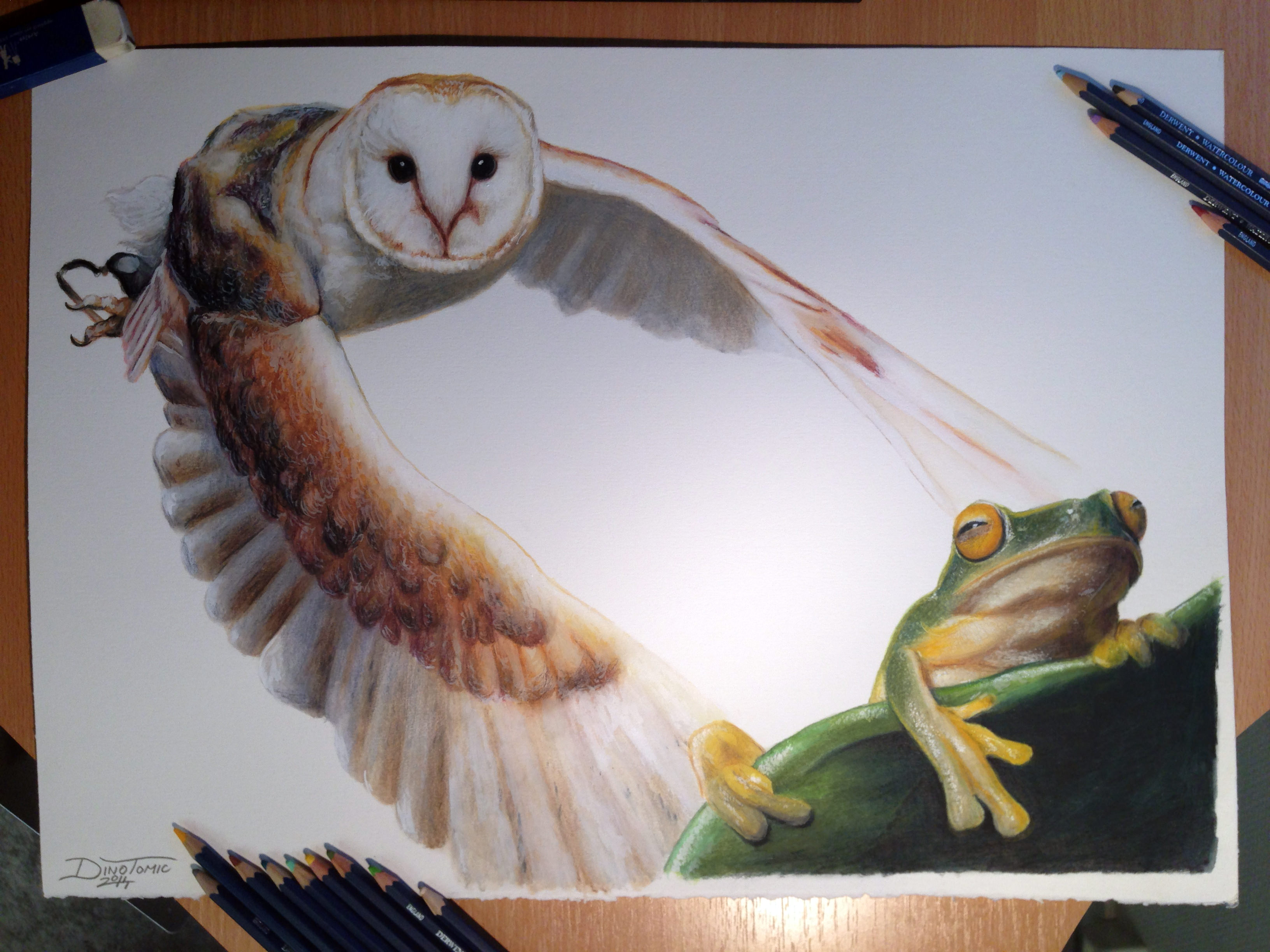 owl and frog color pencil drawing