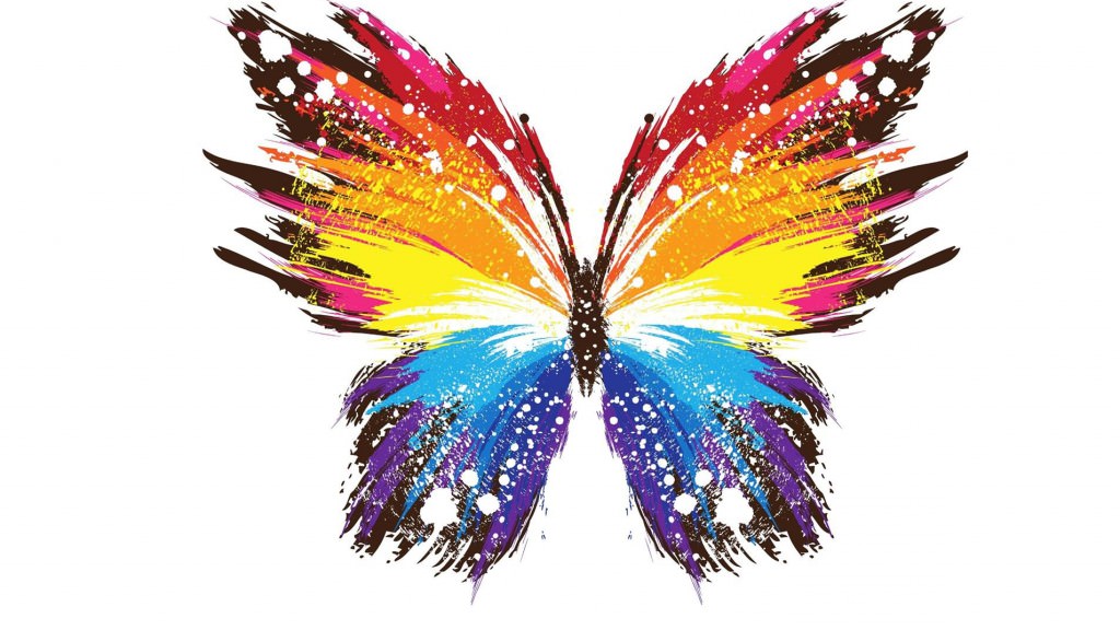 colourful butterfly diagram