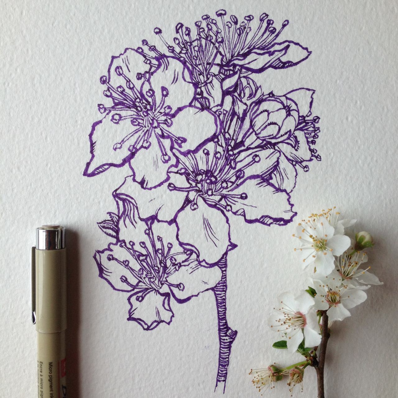 21  Flower Drawings, Art Ideas, Sketches  Design Trends