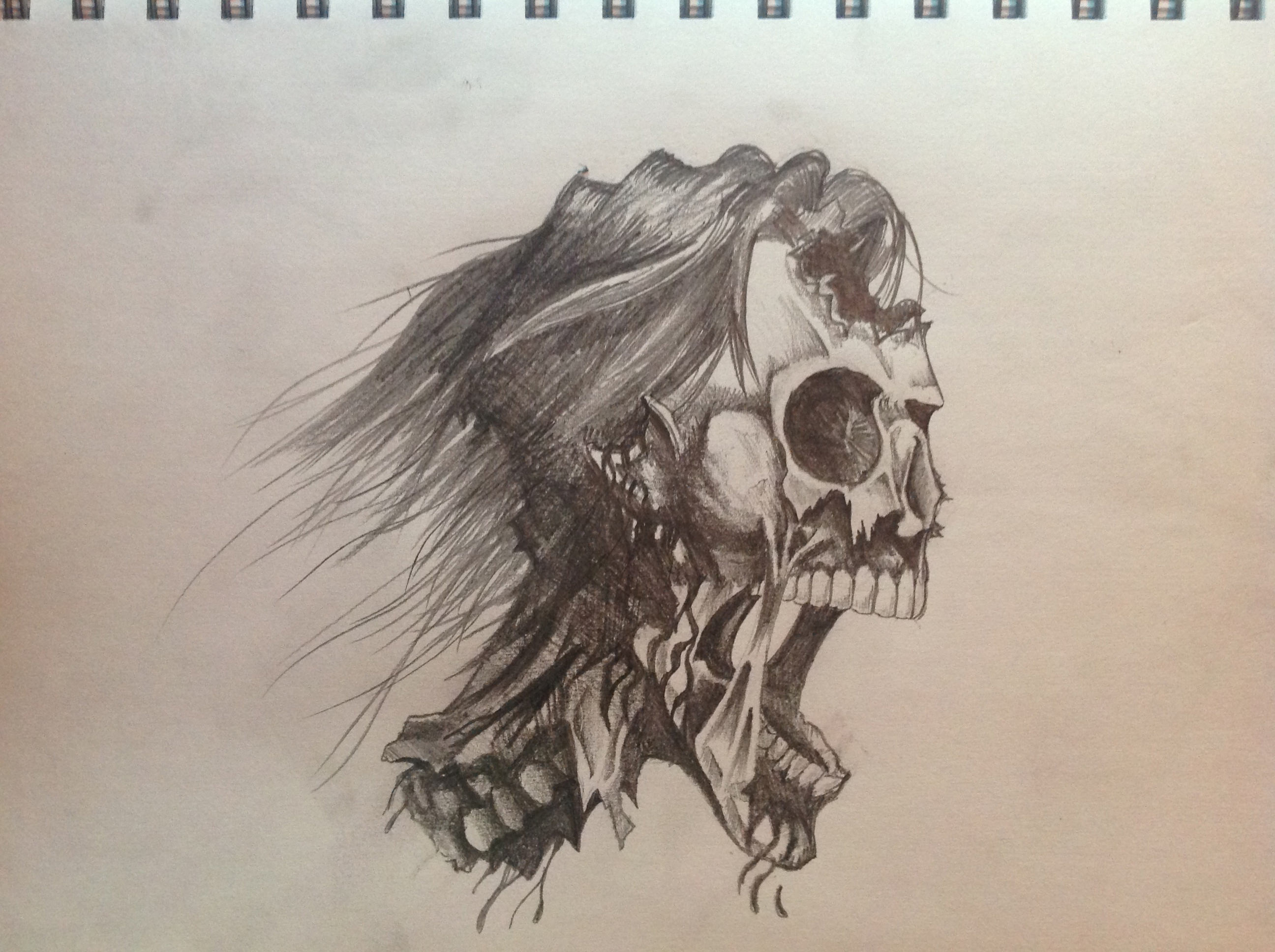 zombie skull drawing