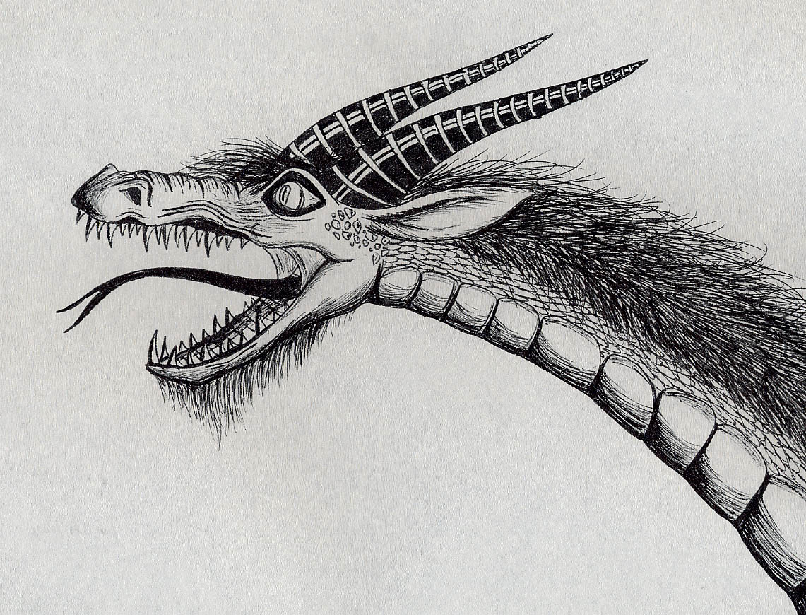 dragon head drawing