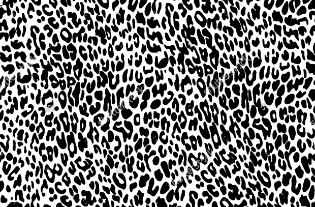 vector black and white leopard pattern1