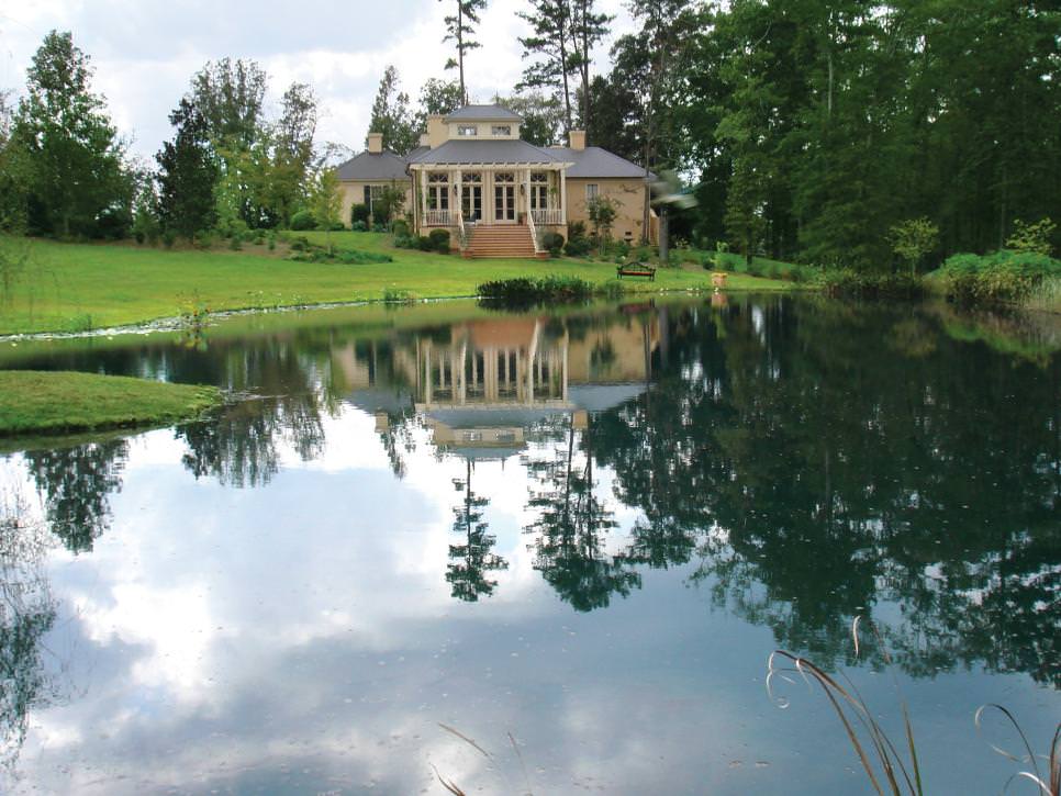 elegant backyard pond design