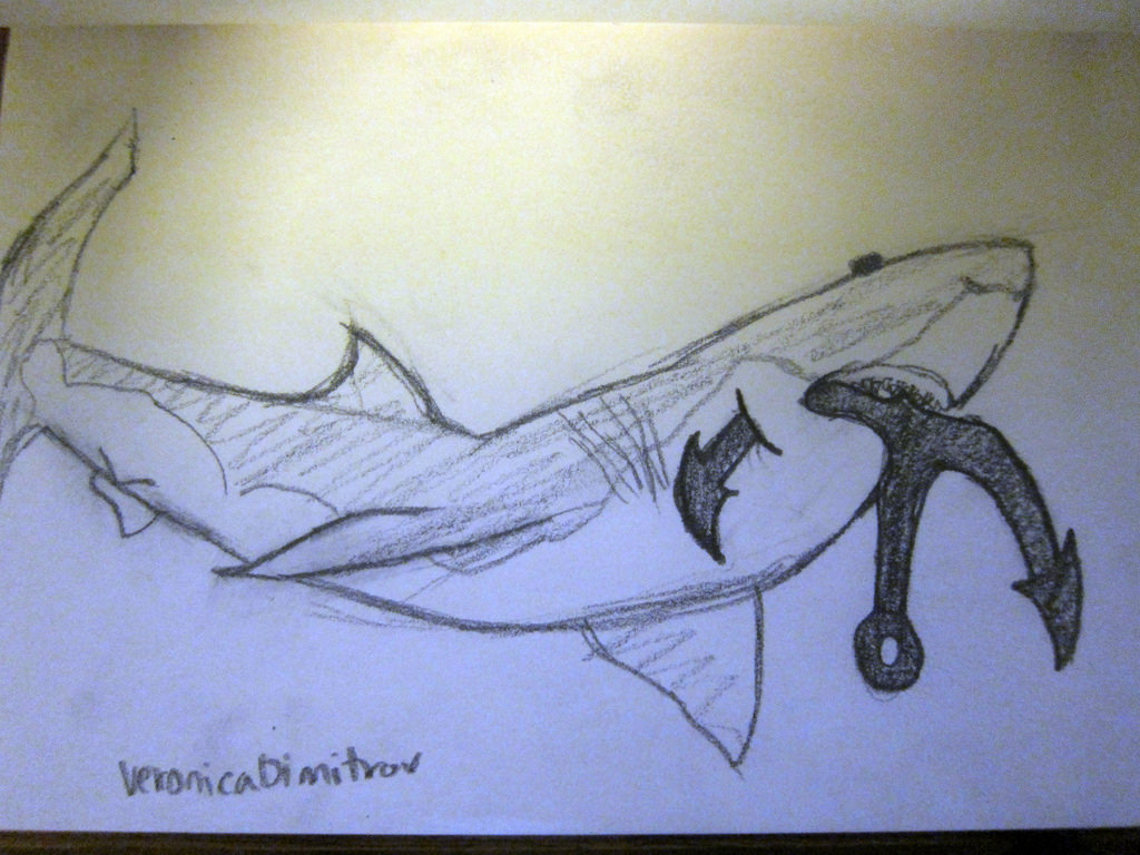 shark and anchor drawing