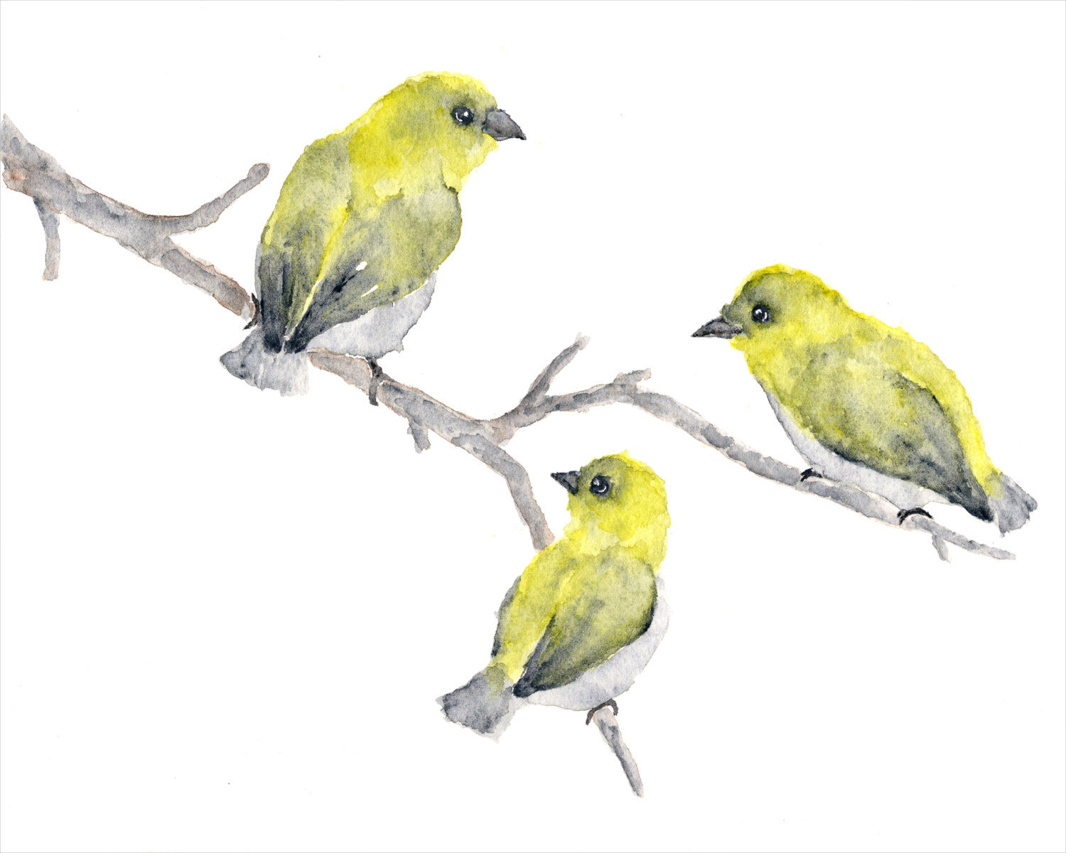 watercolor bird painting