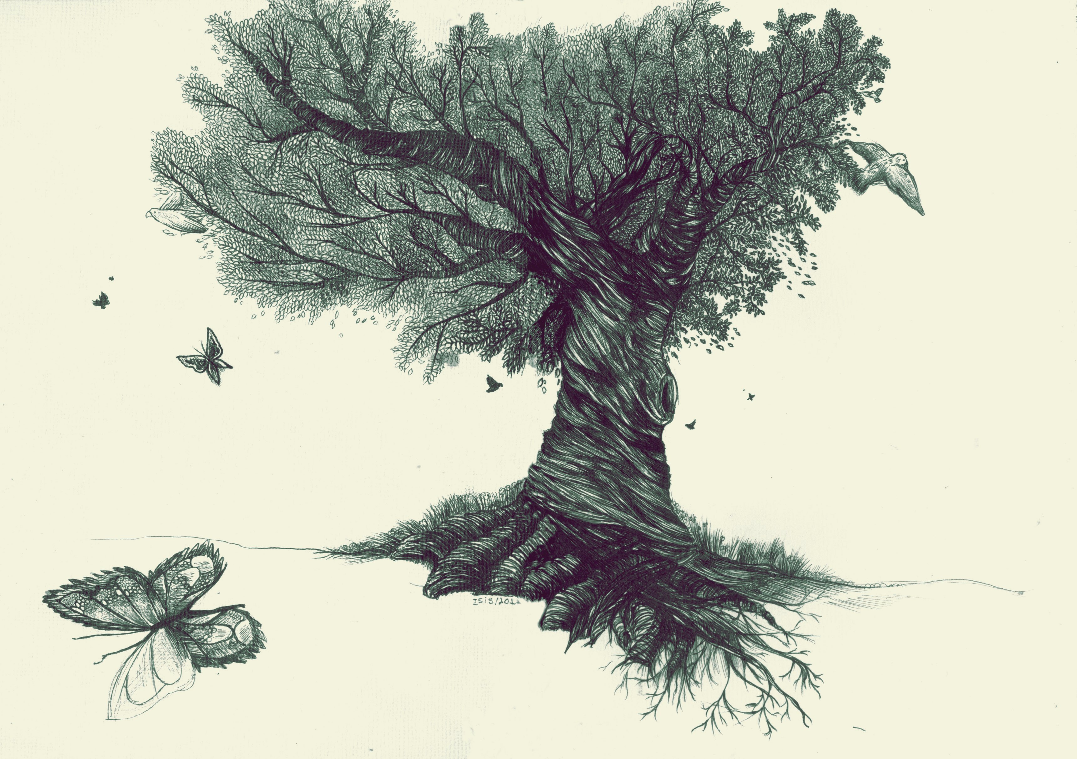 gorgeous tree drawing
