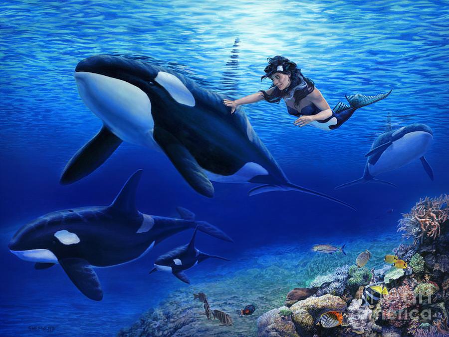 aquarias orcas painting
