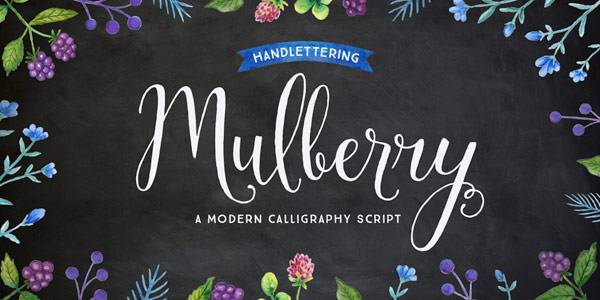 the mulberry font family is a handwritten calligraphy script
