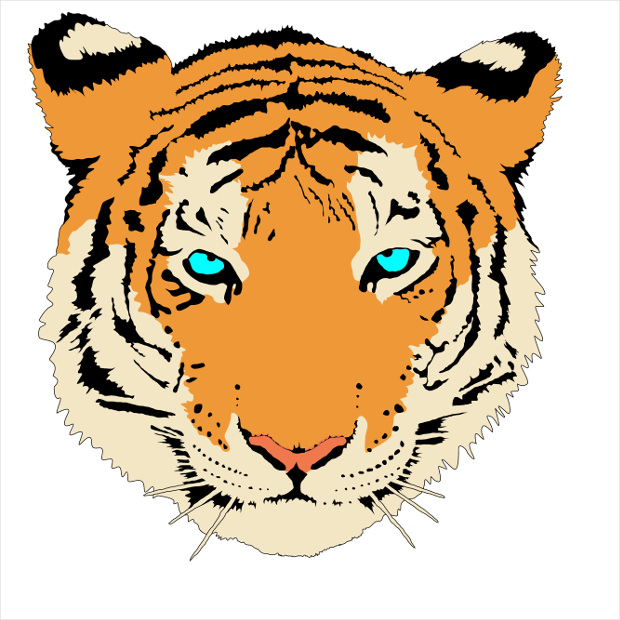 face of tiger