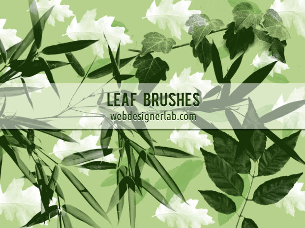 excellent fall leaves brushes