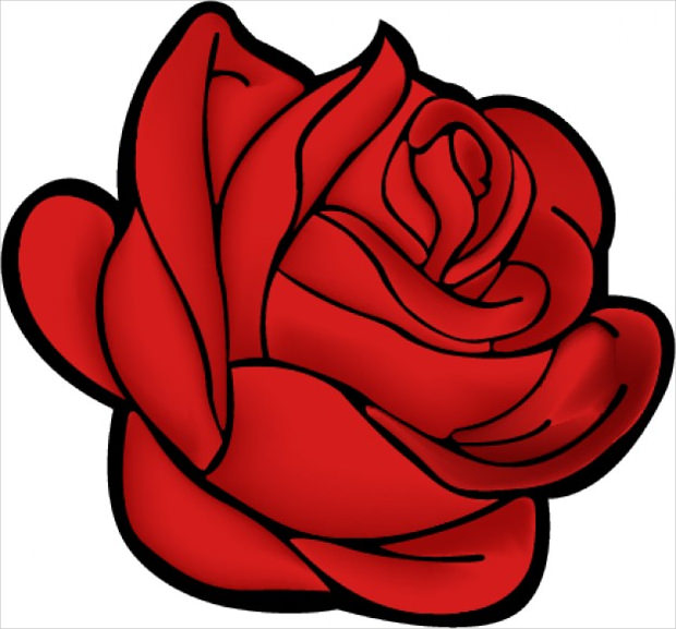 beautiful rose vector