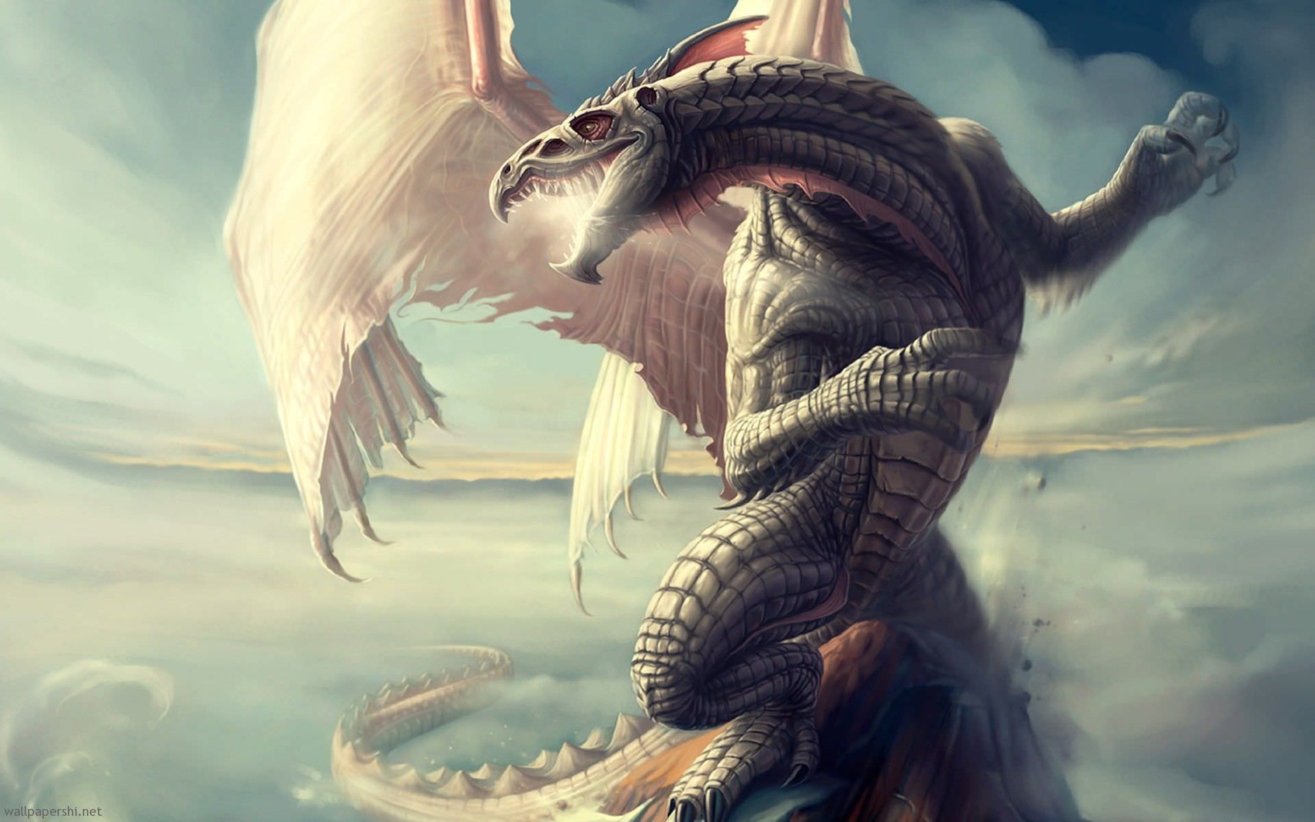 dragon desktop background widescreen wallpaper
