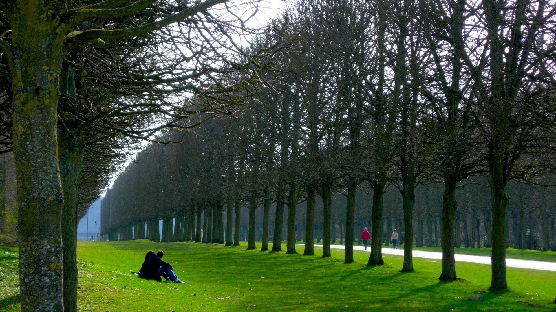 Park Trees in Paris France