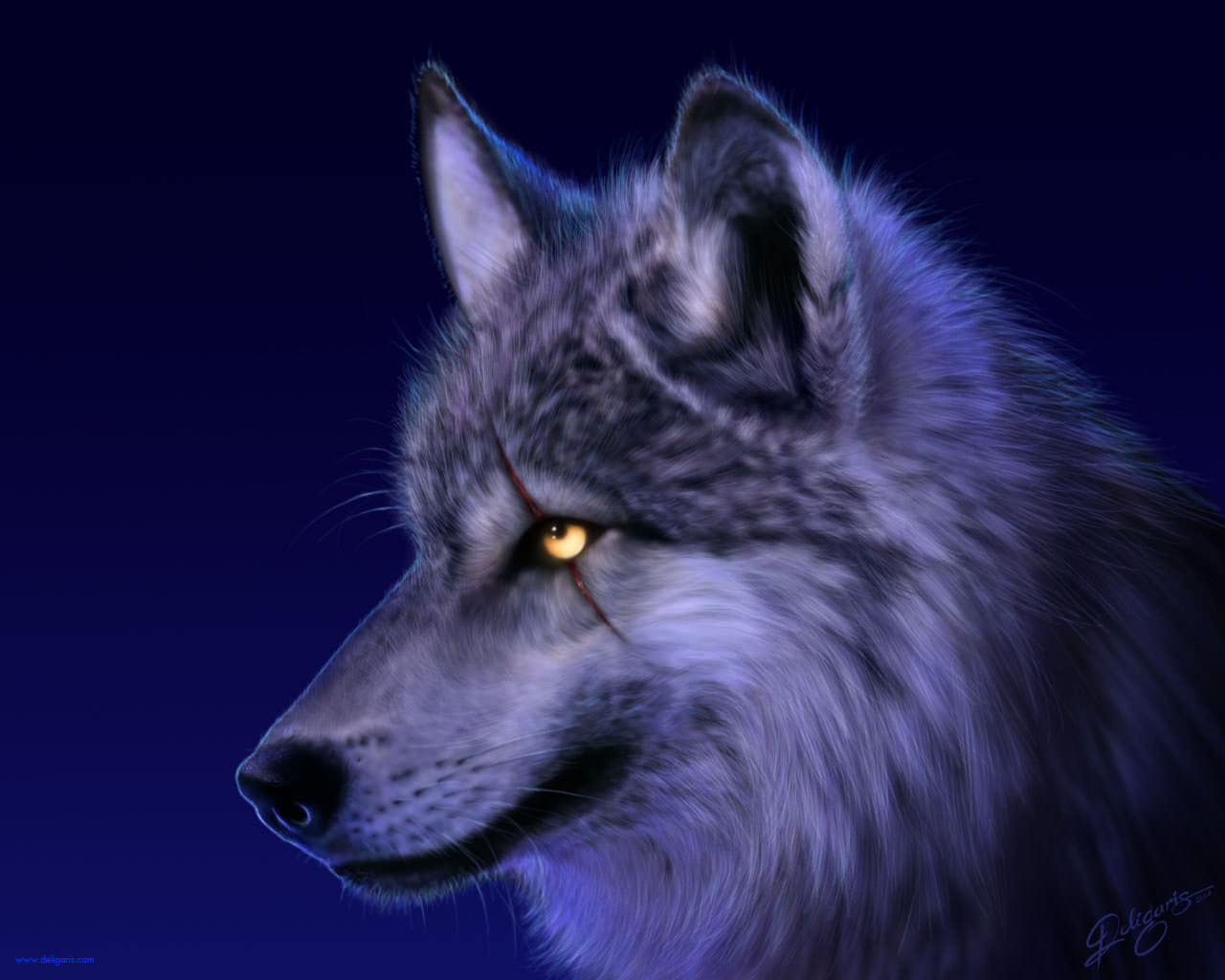 angry face of wolf image