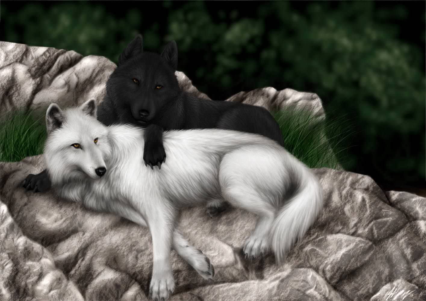 art design of wolfs background