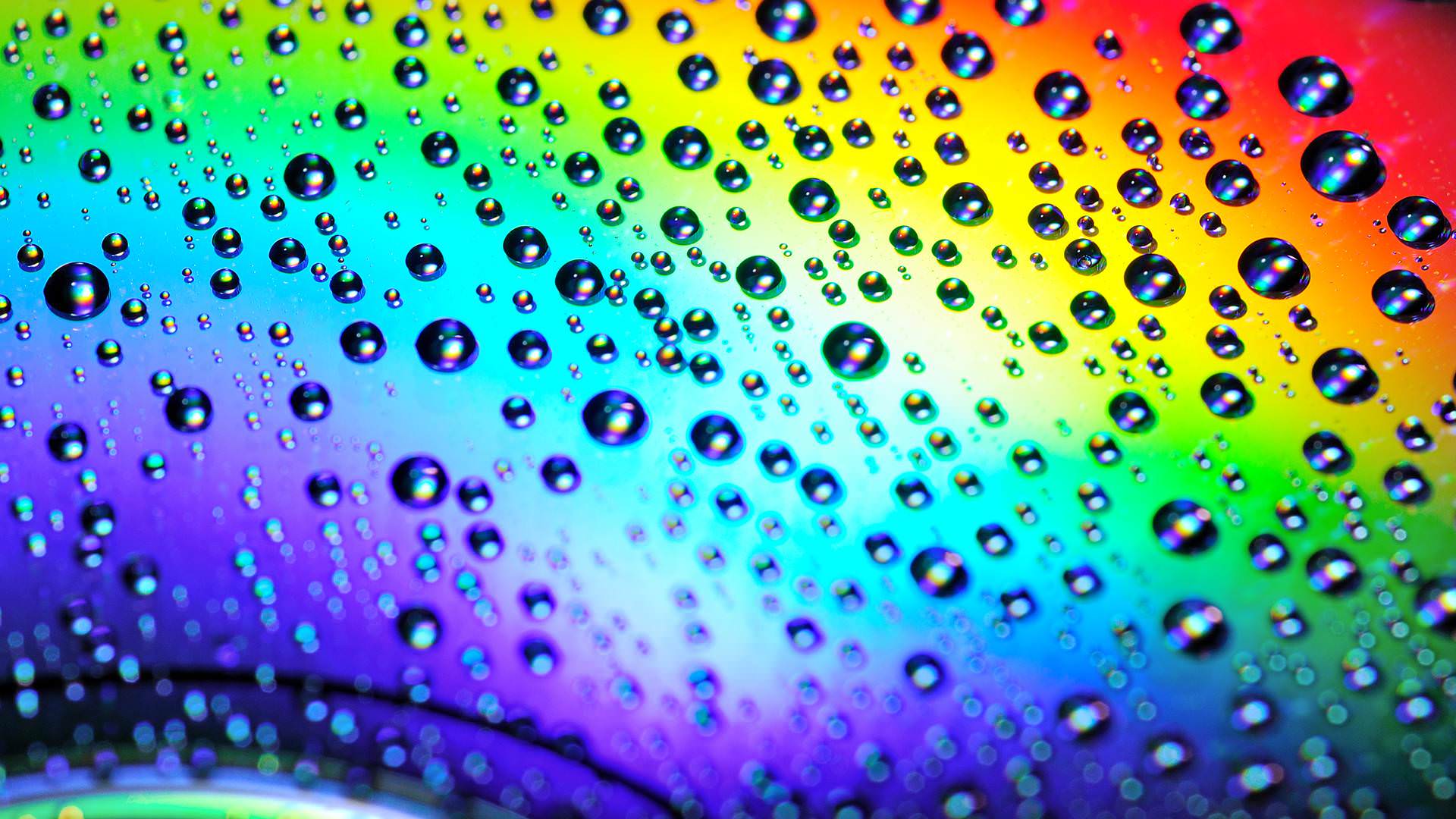 abstract rainbow drops bright wallpaper