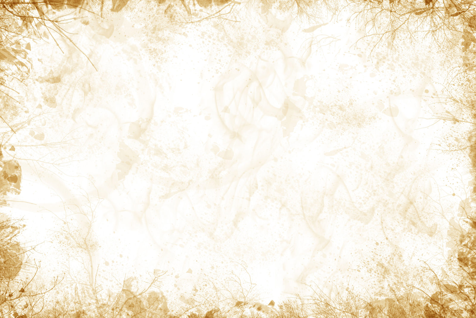white and gold background21