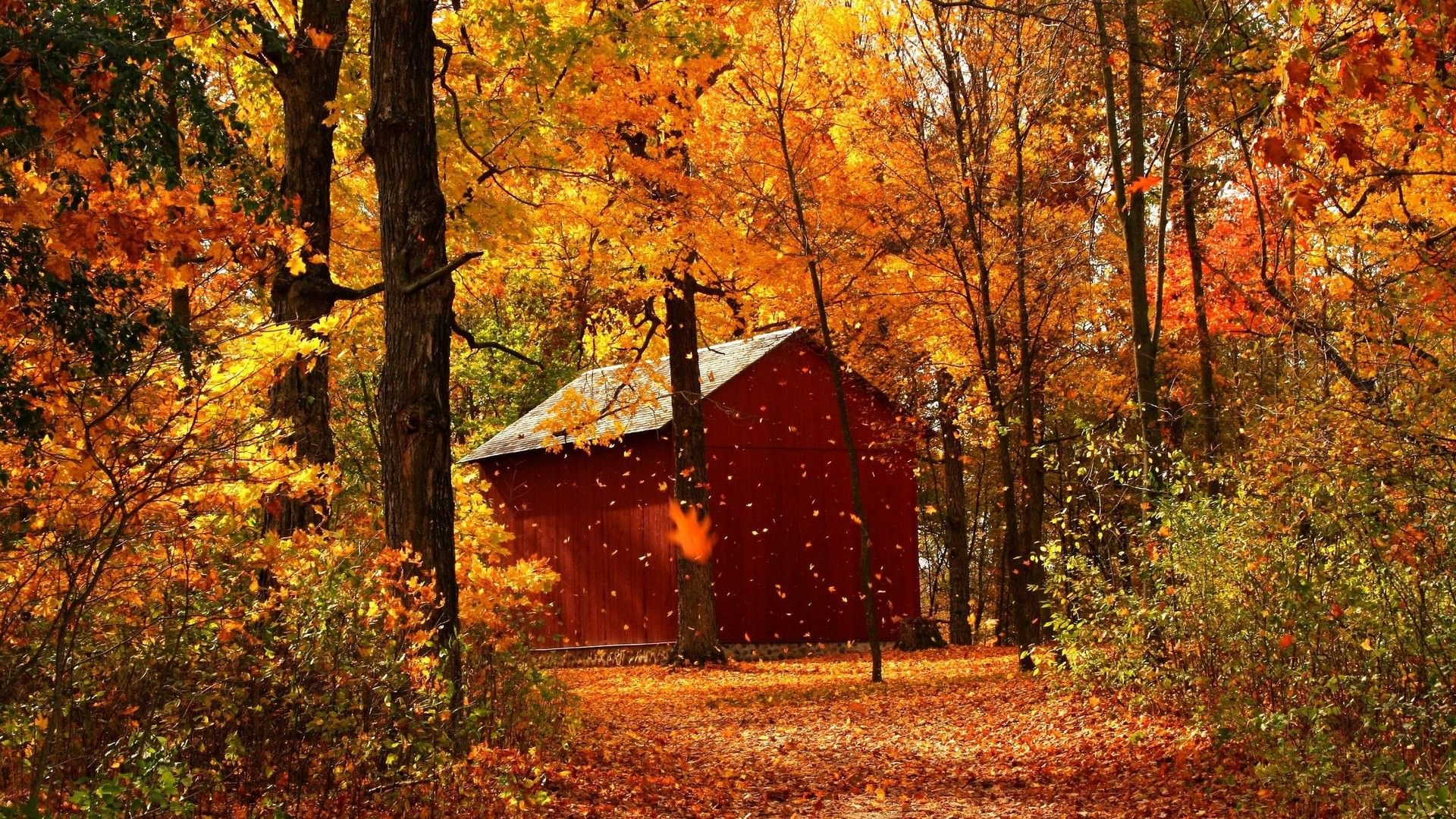 autumn breeze wallpaper