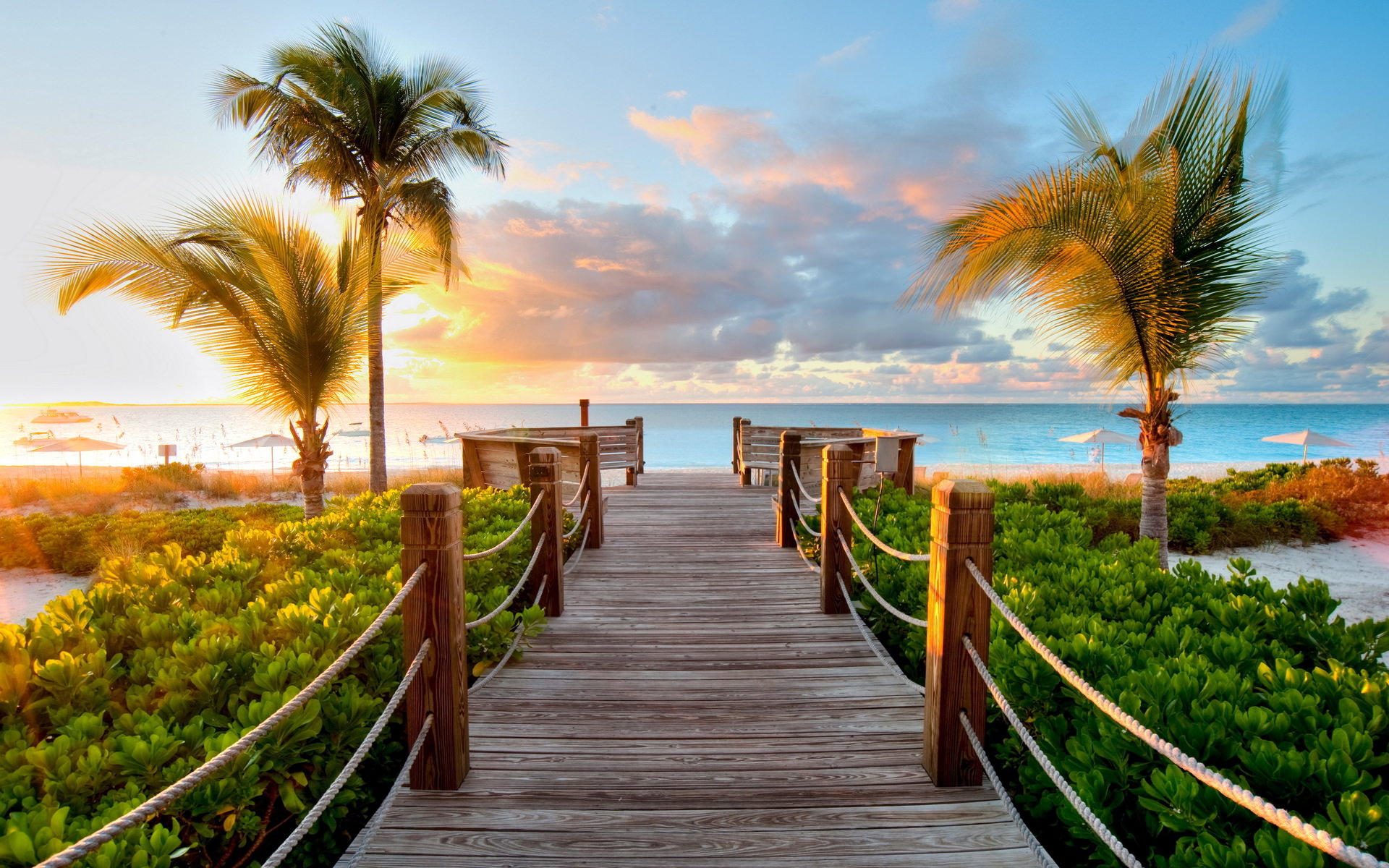 tropical boardwalk beautiful background