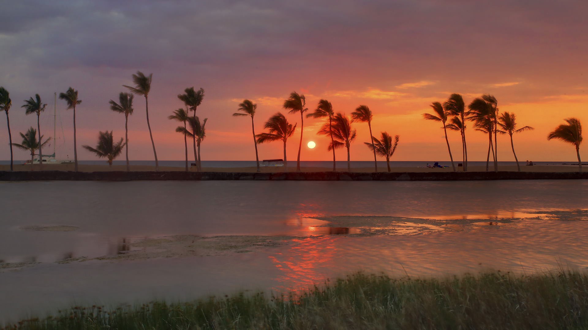 sunset with palm trees river tropical wallpaper