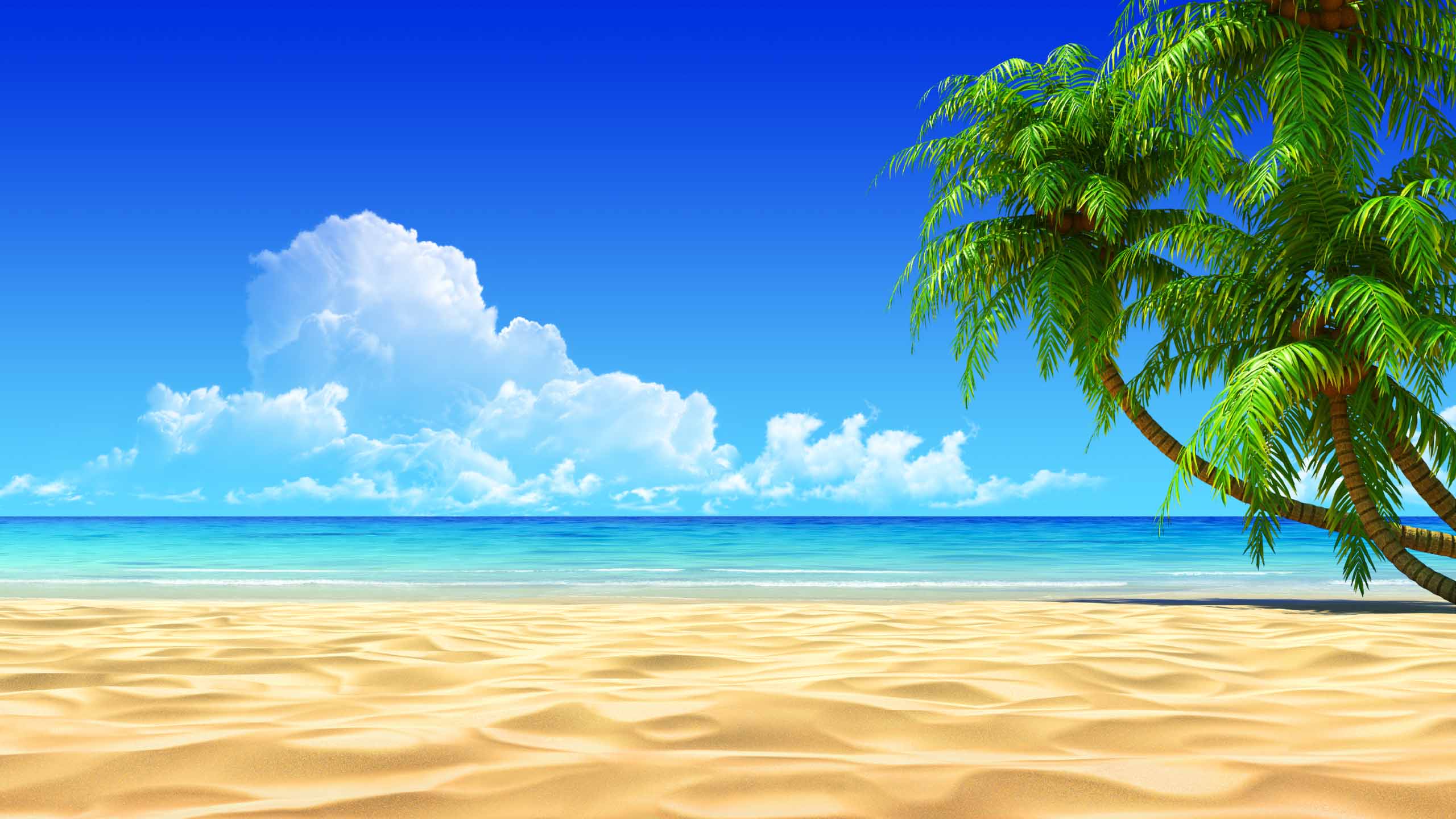 beach tropical photo wallpaper