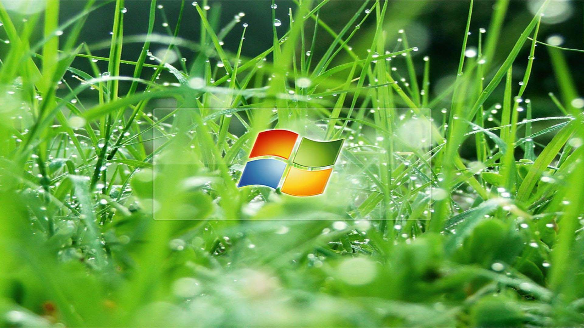 green grass with windows 8 logo wallpaper