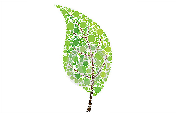 nature leaf logo