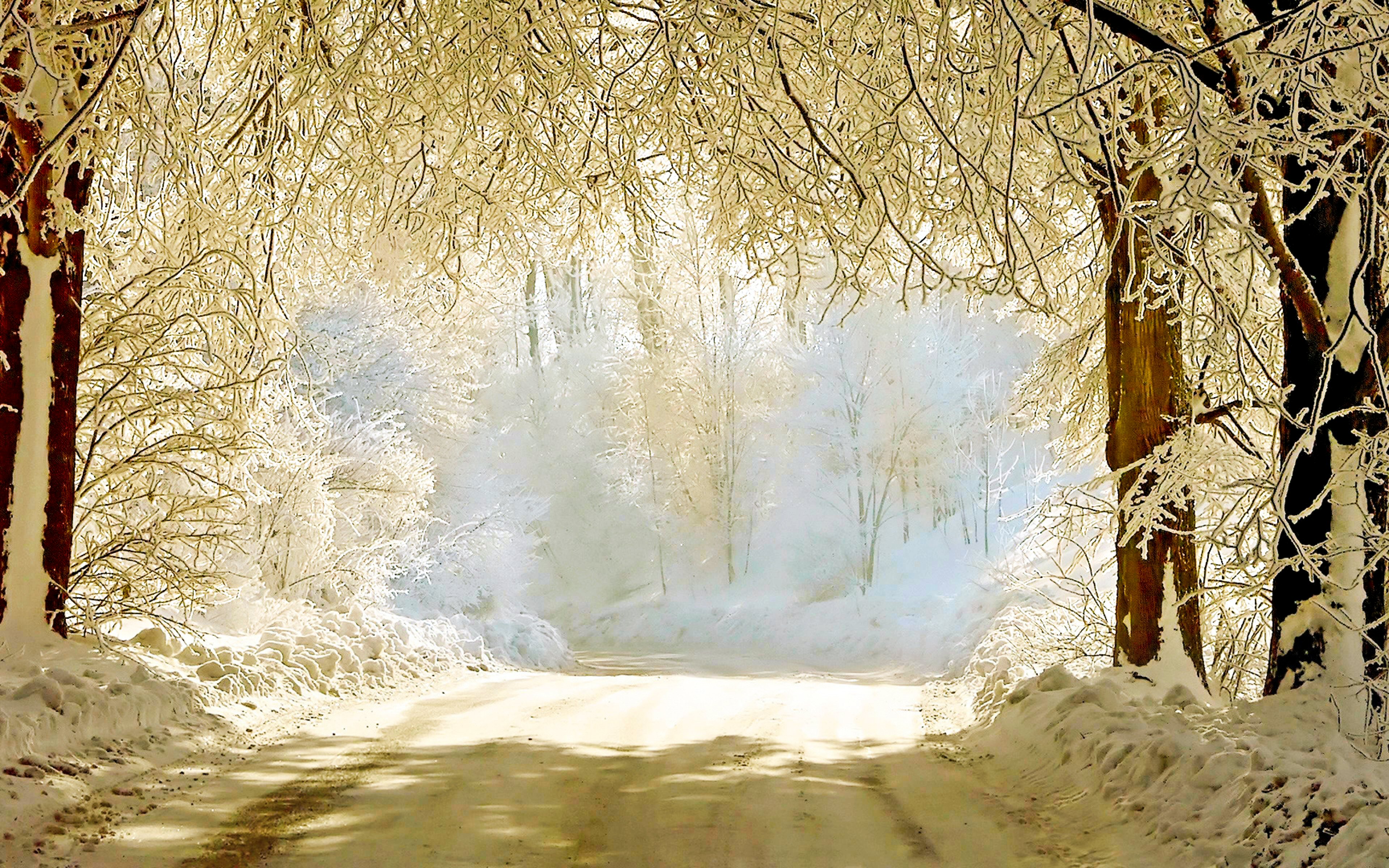 beautiful winter background