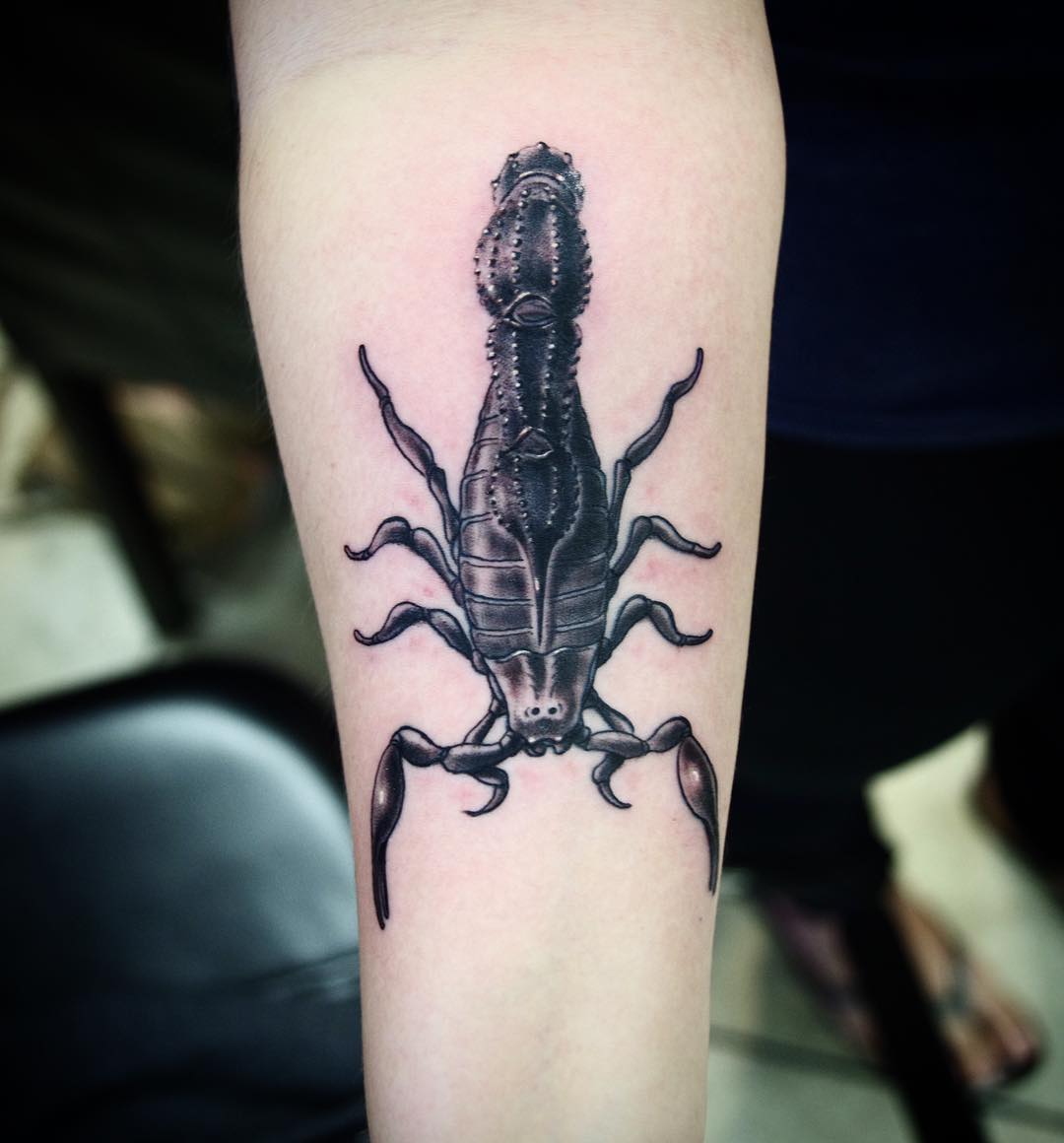 fat tail scorpion tattoo art