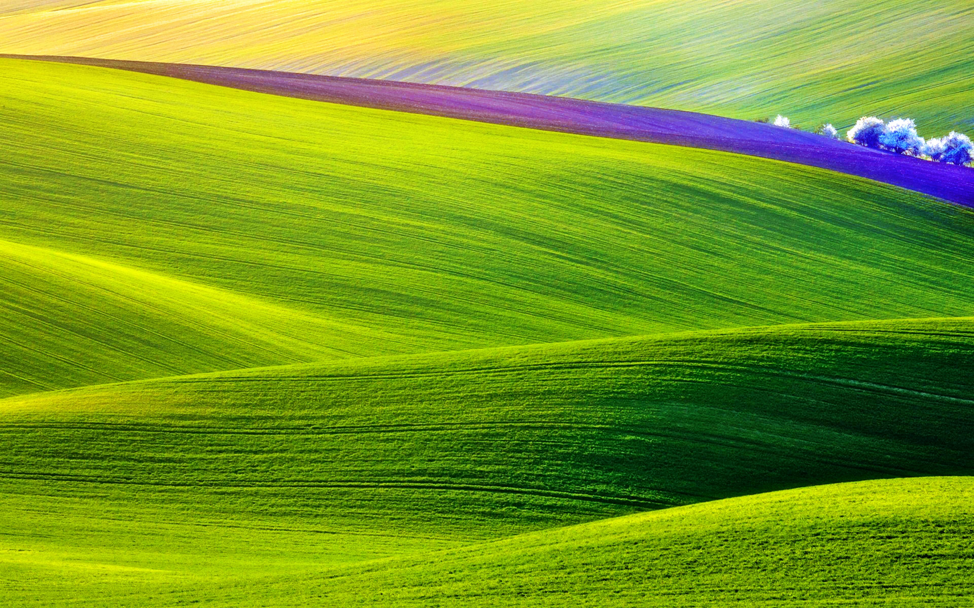 spring field background