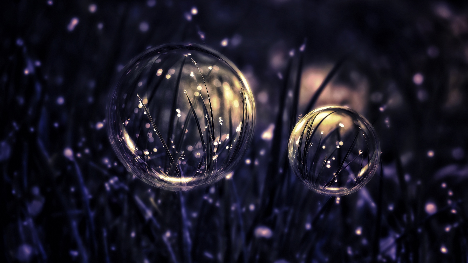 water drops and bubbles wallpaper