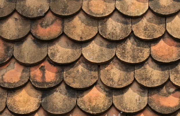 Roof Texture