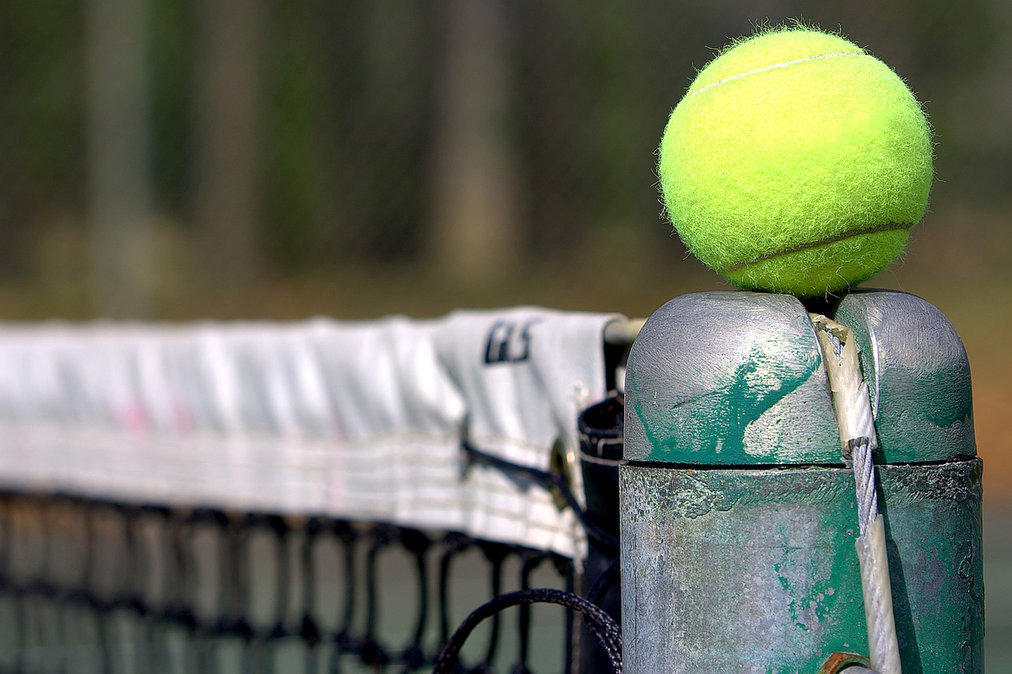 tennis ball wallpaper