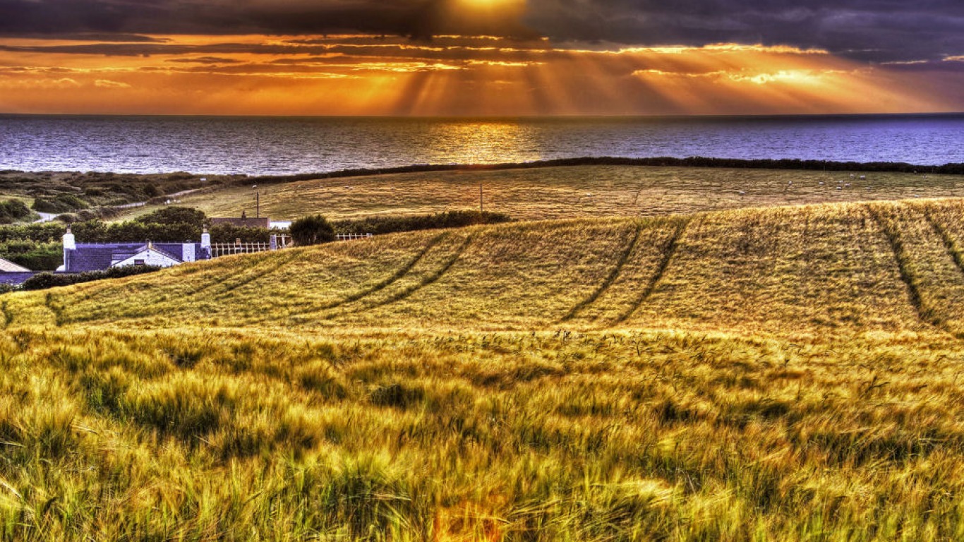 sunrays and fields wallpaper