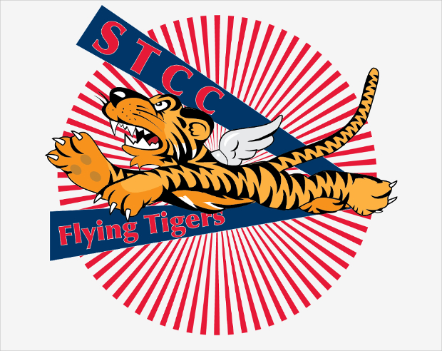 funny tiger logo design