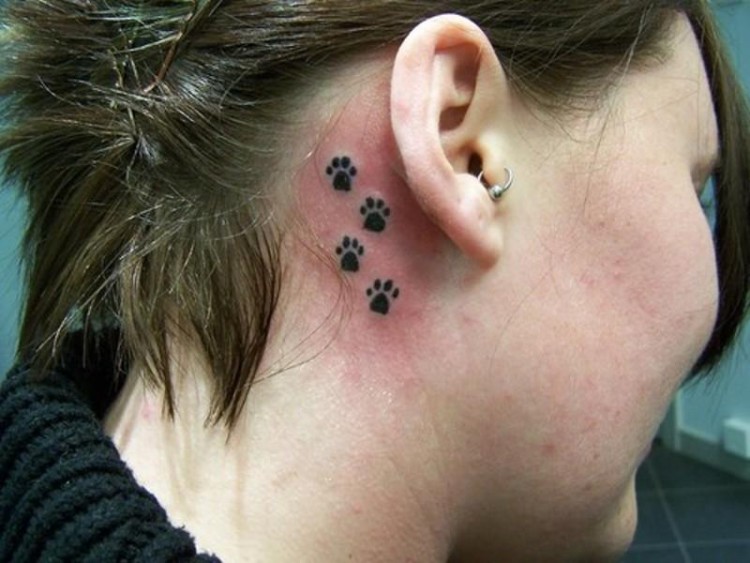 paw tattoo designs behind ear e1460356715728