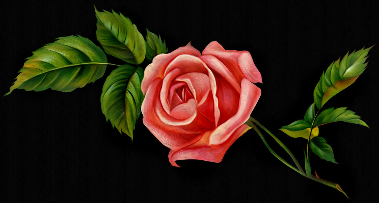 single rose digital painting