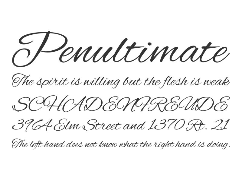 calligraphy invitation fonts