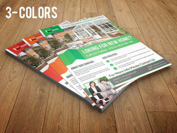 Multi Color Flyer Designs of Real Estate