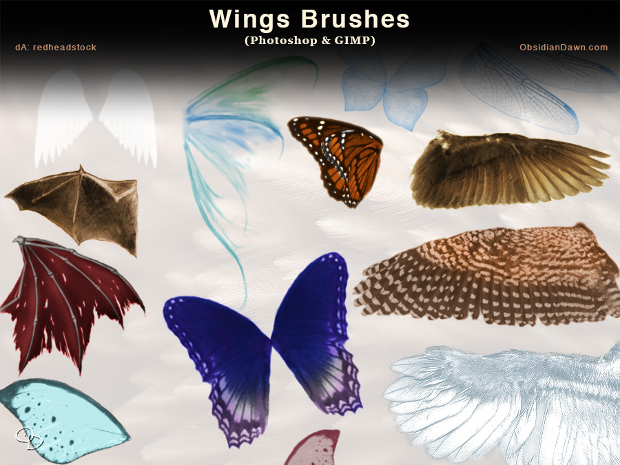 high resolution wing brushes