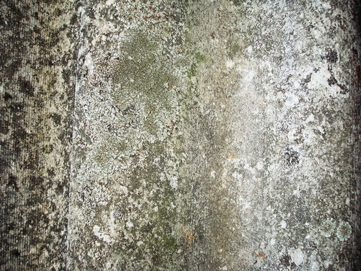roofing grunge stone texture