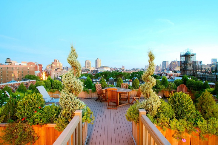 organic rooftop garden